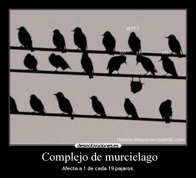 Complejo de murcielago - Afecta a 1 de cada 19 pajaros.