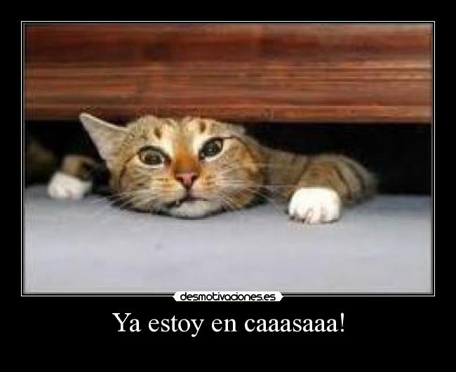 Ya estoy en caaasaaa! -