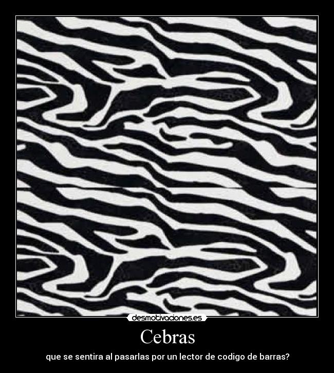 Cebras - que se sentira al pasarlas por un lector de codigo de barras?