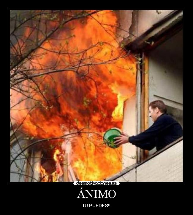ÁNIMO - 