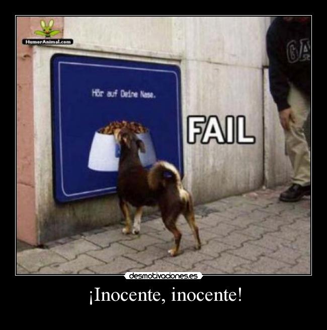 ¡Inocente, inocente! -