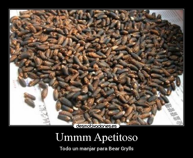 Ummm Apetitoso -