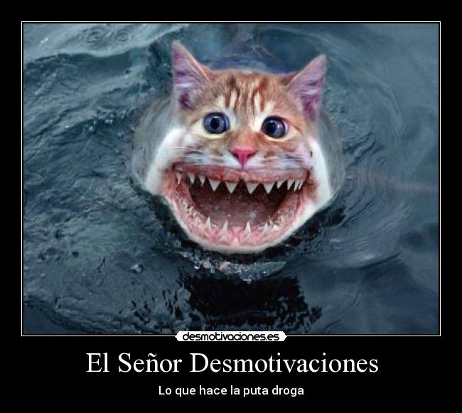 El Señor Desmotivaciones - Lo que hace la puta droga