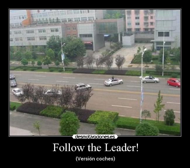 Follow the Leader! - 