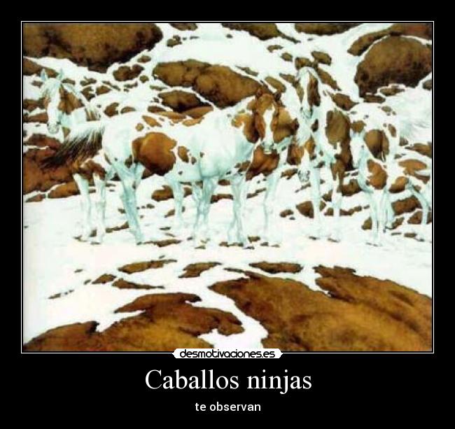 Caballos ninjas -