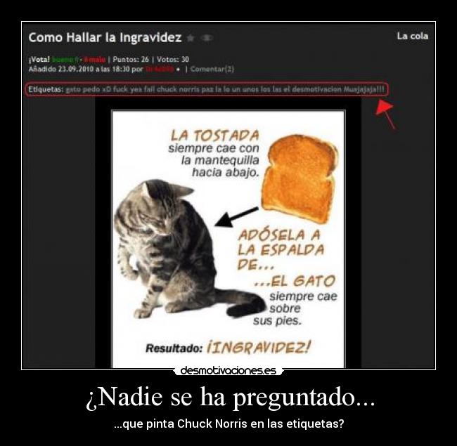 carteles chuck norris nadie preguntado gato ingravided desmotivaciones