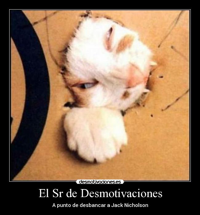 El Sr de Desmotivaciones -