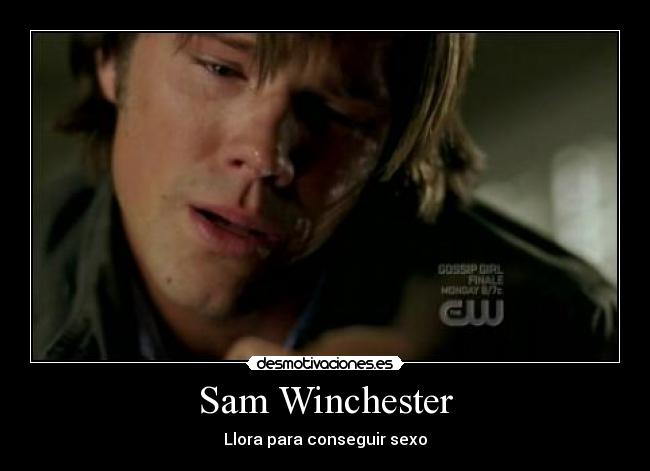 carteles sexo freak desmotivaciones