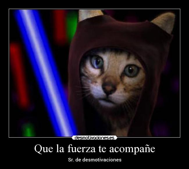 carteles jedi desmotivaciones