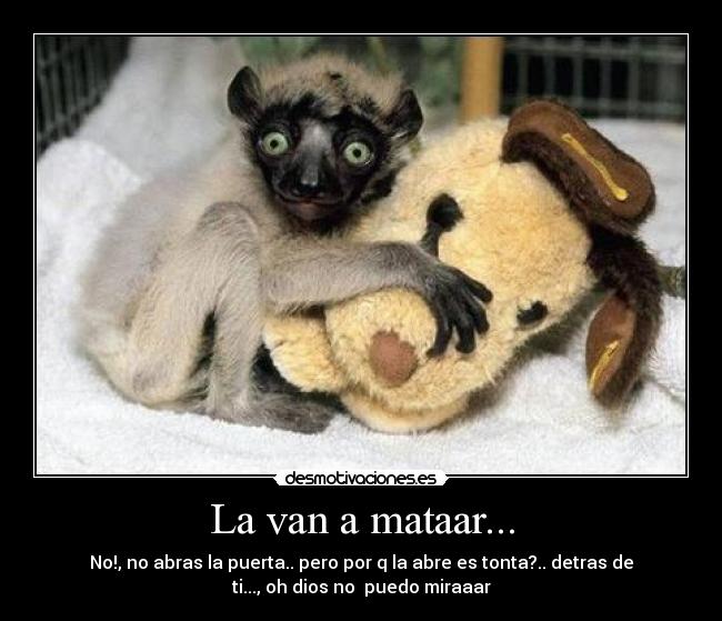 carteles miedo desmotivaciones