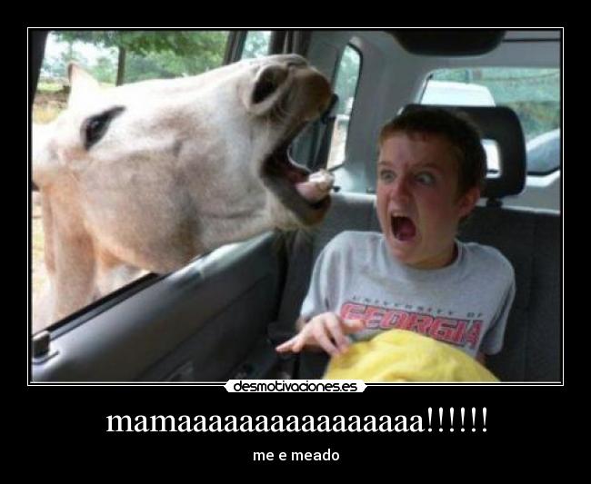 mamaaaaaaaaaaaaaaaa!!!!!! - me e meado