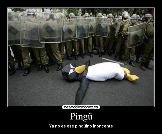 Pingü - 