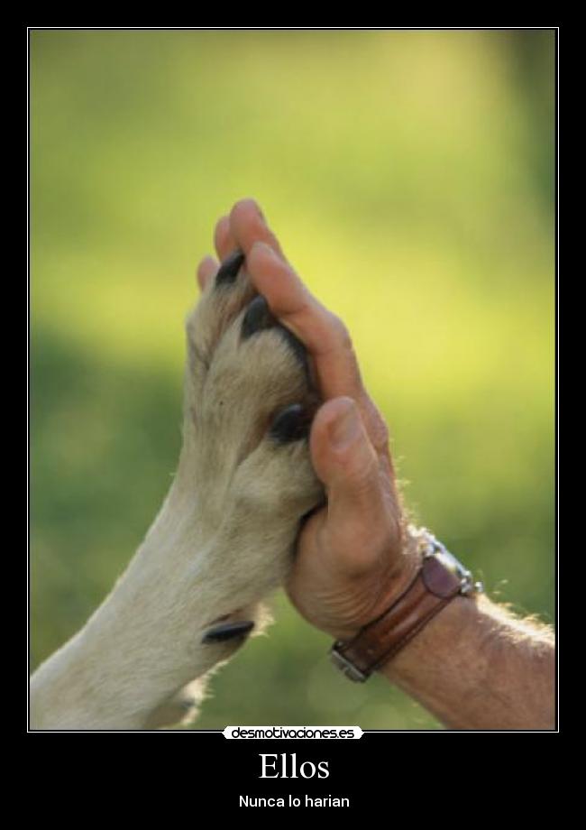 Ellos - 