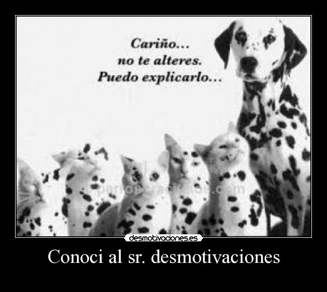 carteles desmotivaciones confesion desmotivaciones