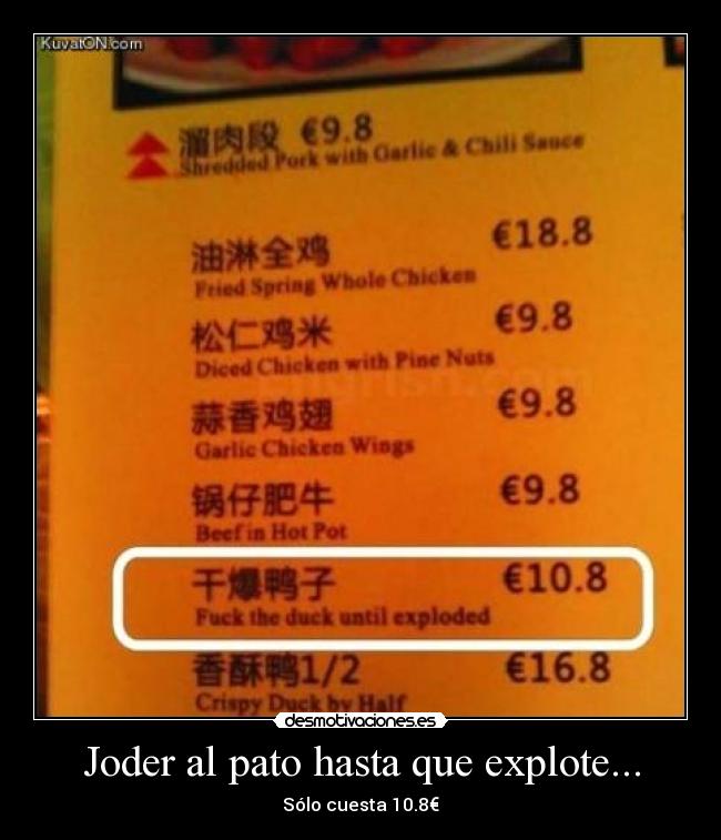 Joder al pato hasta que explote... - 