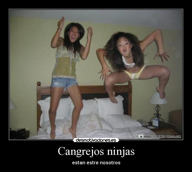 carteles cangrejos desmotivaciones