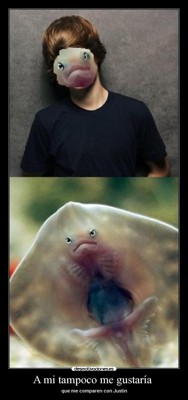 A mi tampoco me gustaría  - 