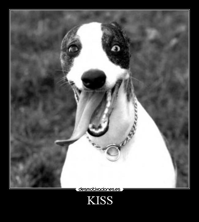 KISS - 