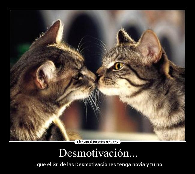 Desmotivación... - ...que el Sr. de las Desmotivaciones tenga novia y tú no