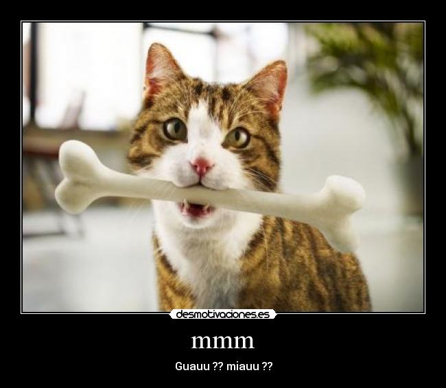 mmm - Guauu ?? miauu ??