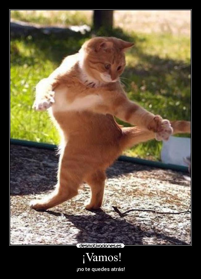 ¡Vamos! - 