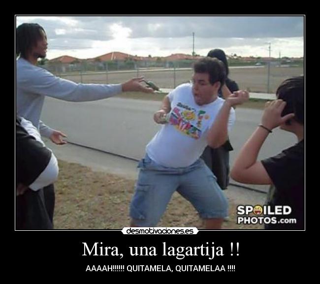 Mira, una lagartija !! - AAAAH!!!!!! QUITAMELA, QUITAMELAA !!!!