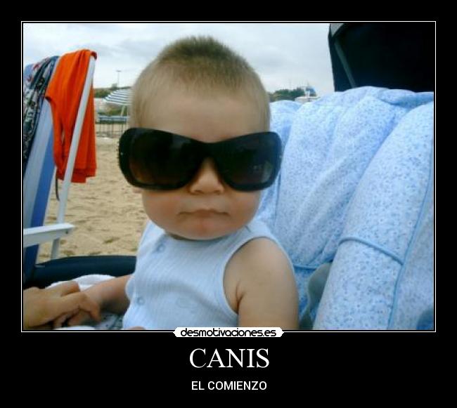 CANIS - 