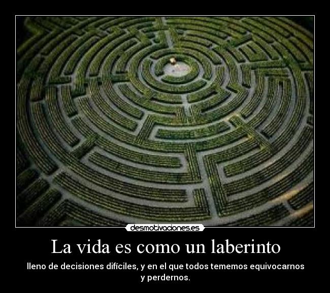 carteles vida vida laberinto salir miedo decision equivocarse perder desmotivaciones
