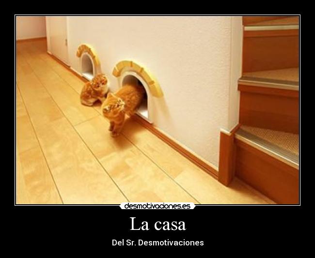La casa - Del Sr. Desmotivaciones
