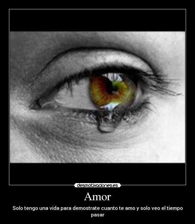 Amor - 