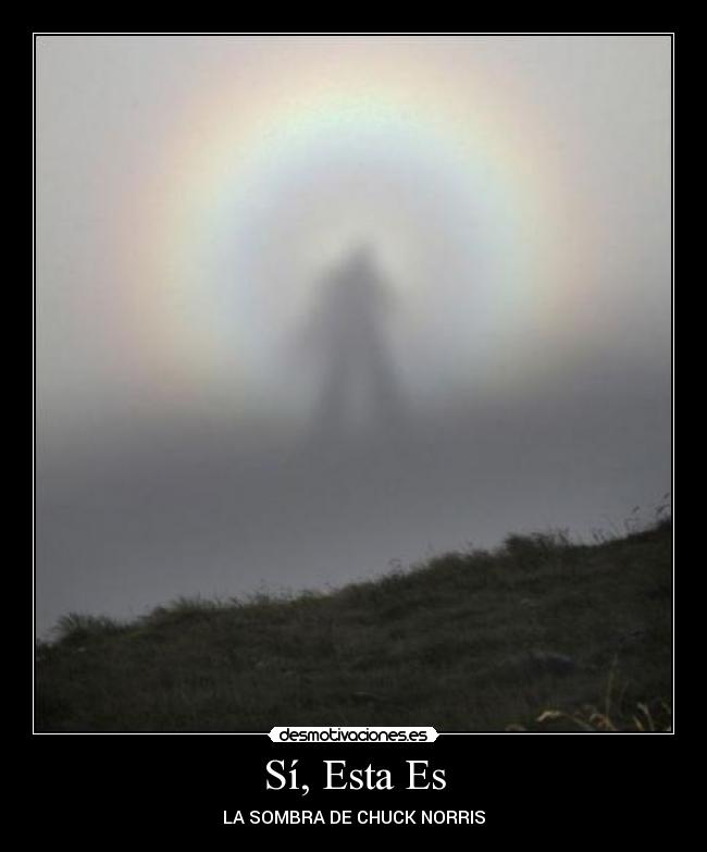 Sí, Esta Es -