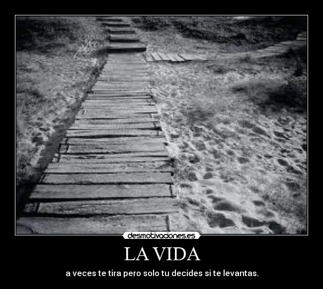 carteles vida vida desmotivaciones