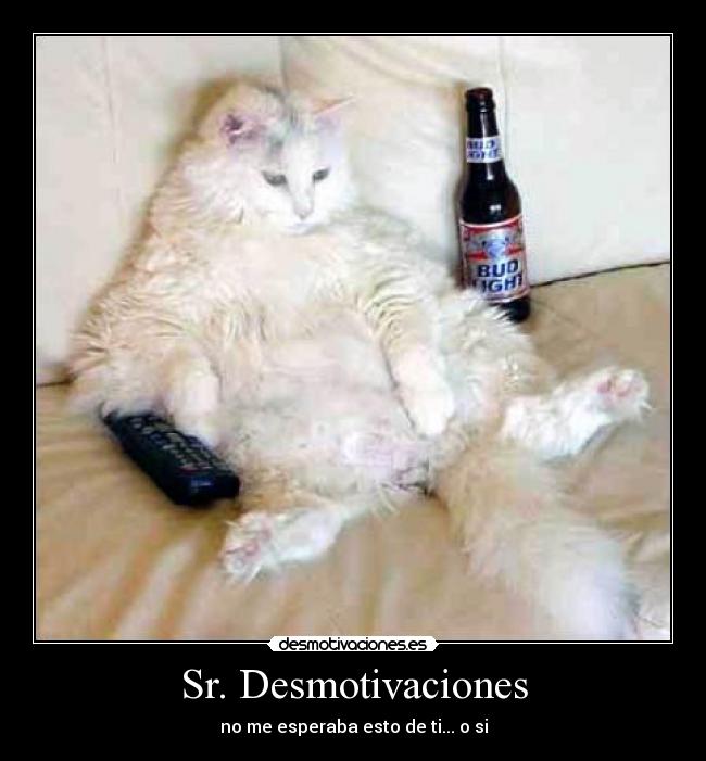Sr. Desmotivaciones - no me esperaba esto de ti... o si