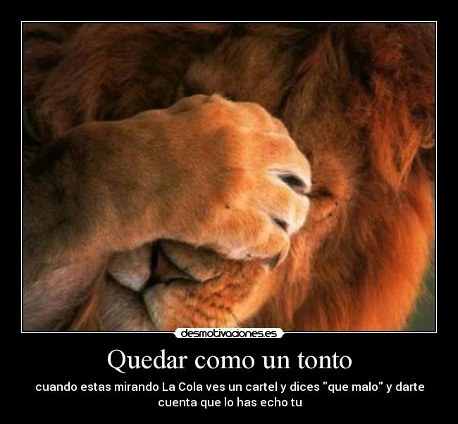 carteles tonto wwwdesmotivacioneses desmotivaciones