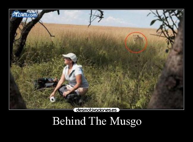 Behind The Musgo -