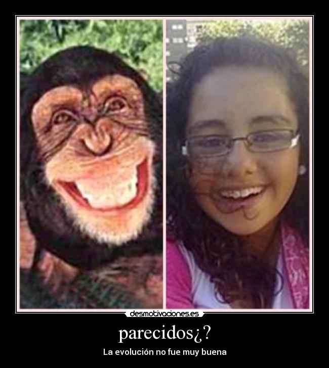 parecidos¿? -