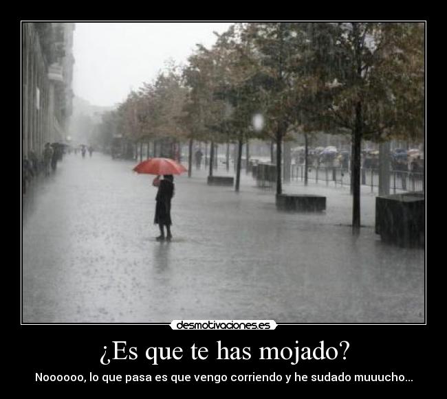 ¿Es que te has mojado? -