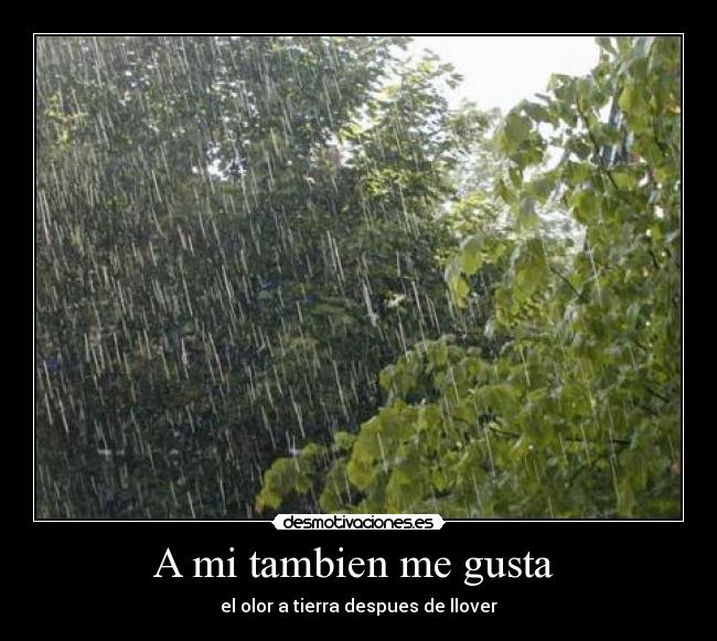 A mi tambien me gusta -