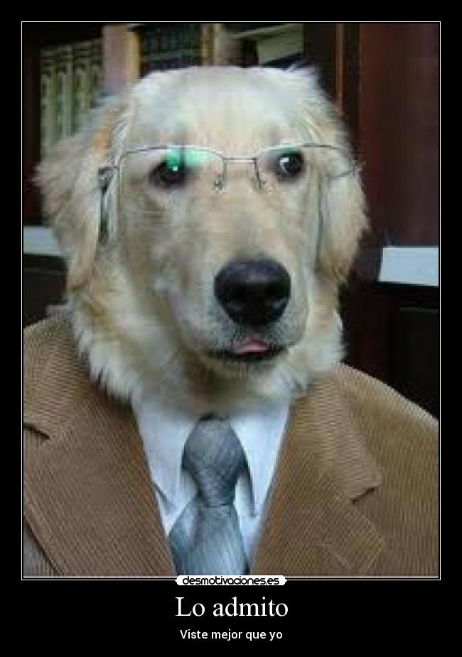 Lo admito - 