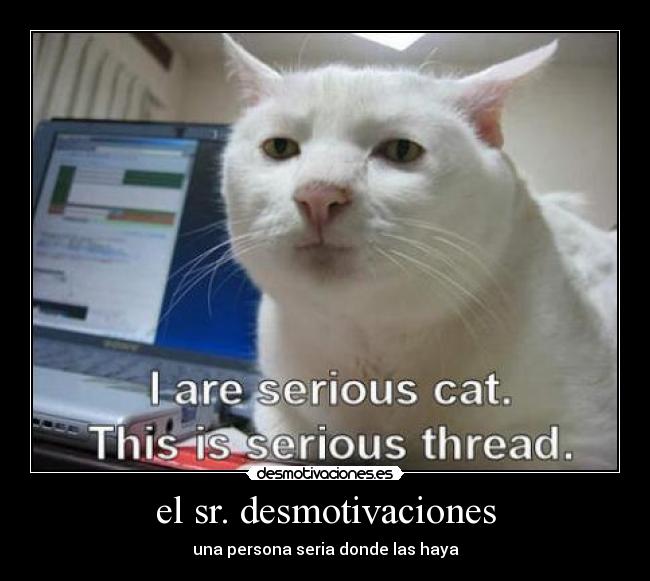 el sr. desmotivaciones - una persona seria donde las haya