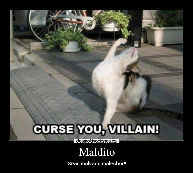Maldito -