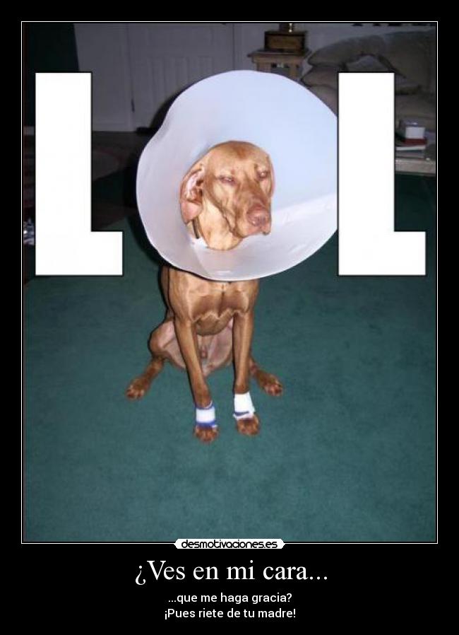¿Ves en mi cara... - ...que me haga gracia?
¡Pues riete de tu madre!