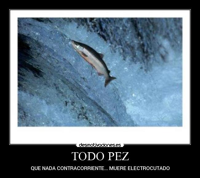 TODO PEZ - 