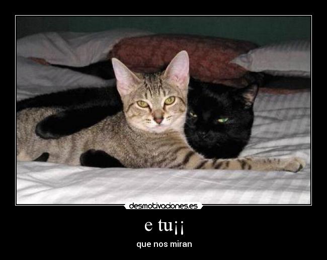 carteles  desmotivaciones