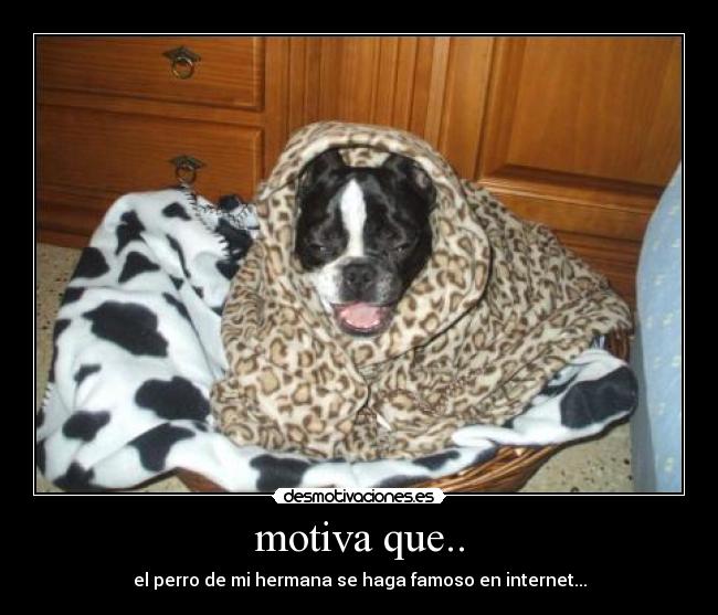motiva que.. - 