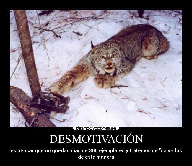 DESMOTIVACIÓN - 