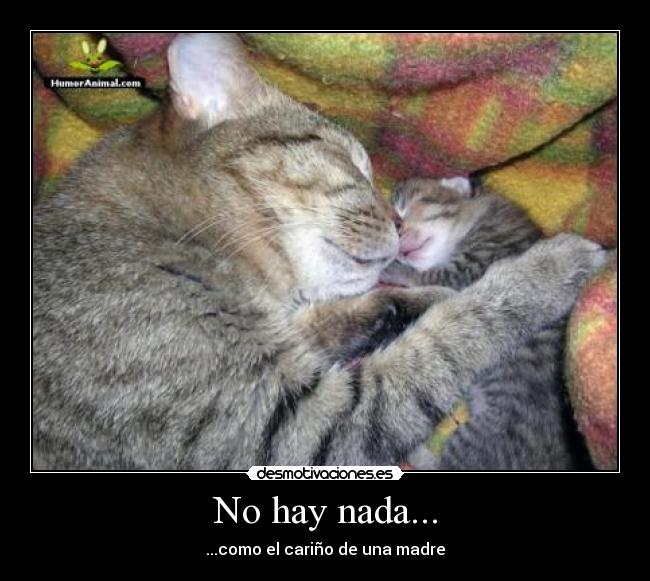 carteles hay nada como carino madre desmotivaciones