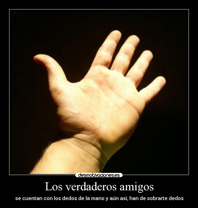 Los verdaderos amigos - 