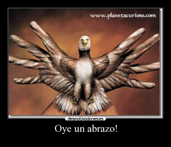 Oye un abrazo! - 
