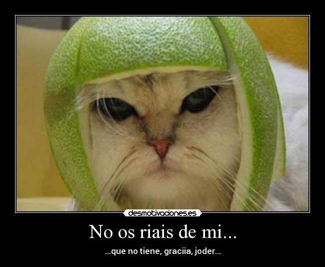 No os riais de mi... - 